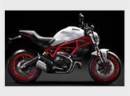 MONSTER 797>